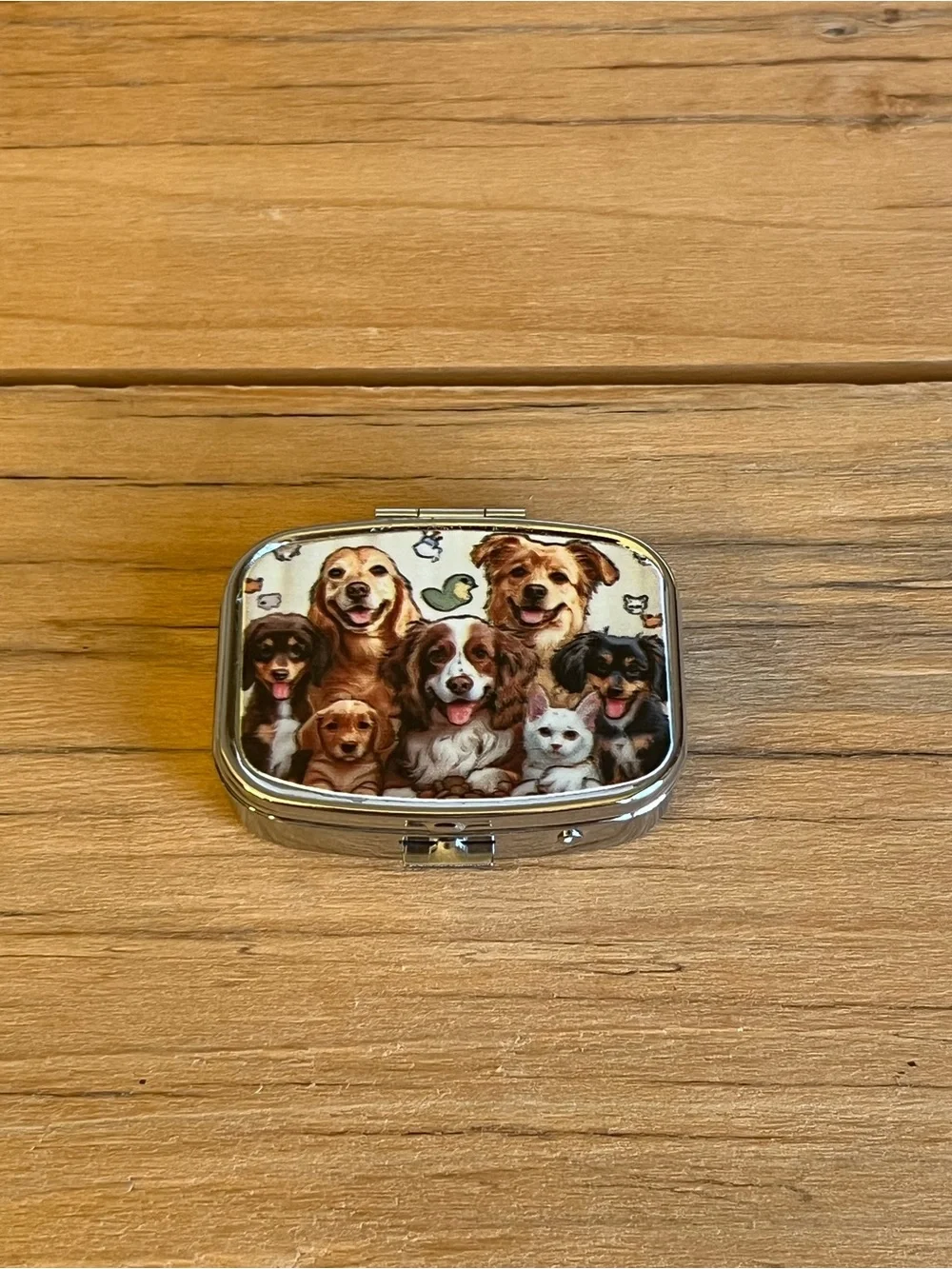 Puppy Theme Design Purse Pill Box/Travel Jewelry-Compact With Lidded Mirror